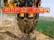 赤峰市挖树机租赁电话号码