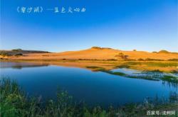 赤峰乌丹修麻将机电话号码