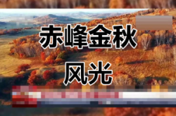 赤峰戴维森美发店电话号码