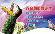 赤峰新城网红店电话多少号