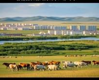赤峰市盛誉农机电话地址查询
