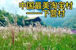 赤峰贾营子村电话号码是多少