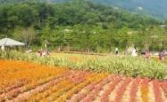 赤峰杜鹃花庄园地址电话号码