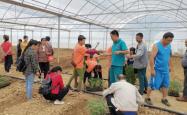 赤峰双赢化肥厂电话号码查询