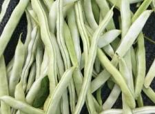赤峰菜盆批发市场电话号码