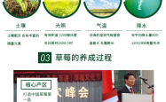 赤峰市坏果包赔电话号码