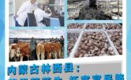 赤峰市林西县叫车电话多少