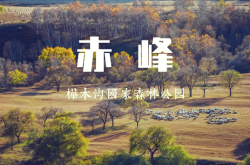 赤峰植物园美食团购电话号码