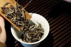 赤峰丽景茶馆电话多少号啊