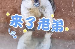 赤峰地区动物园电话号码是多少