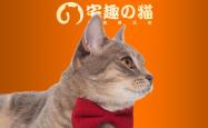 赤峰红山区猫舍地址电话号码