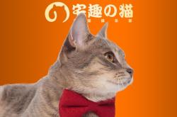 赤峰红山区猫舍地址电话号码