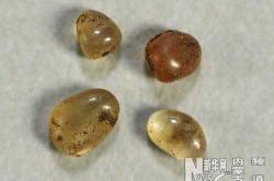 赤峰市卖纽扣的地方电话号码