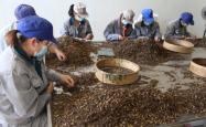 赤峰牛脖套批发电话地址查询