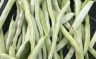 赤峰市收购芸豆电话号码是多少