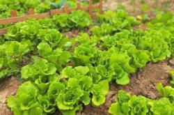 赤峰市小豆豆农场电话号码