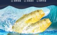 赤峰卖大黄鱼的地方电话号码