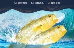 赤峰卖大黄鱼的地方电话号码