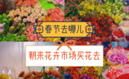 赤峰花卉市场买花的电话是多少