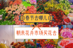 赤峰花卉市场买花的电话是多少