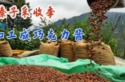 赤峰果仁加工厂家电话号码