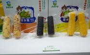赤峰食客玩家电话多少号啊
