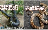 赤峰黑砂厂家电话号码查询