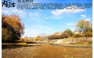 赤峰收购曲麻菜电话是多少号