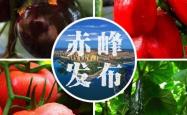 赤峰花菇基地电话多少号码