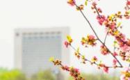 赤峰宾德体验中心电话号码查询
