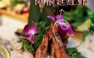 赤峰贝诺宠物店地址电话号码