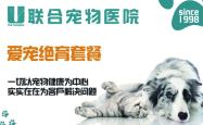 赤峰联合动物医院电话多少号