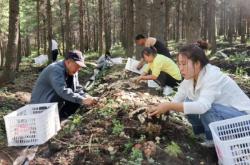 赤峰南山果树基地电话多少号