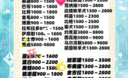 宠物美容店赤峰店电话号码