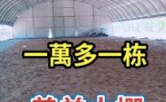 赤峰养殖大棚养羊基地电话号码