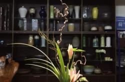 清雅花艺馆赤峰店电话地址是多少