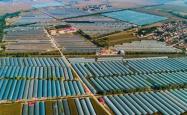 赤峰市养殖牛羊基地电话号码