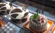 赤峰市熔岩蛋糕店电话号码