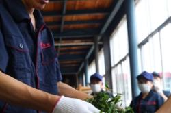 赤峰问道茶居电话多少啊