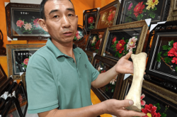 赤峰赵三骨头馆电话号码查询