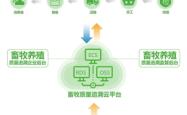 赤峰市牛羊产业平台电话号码