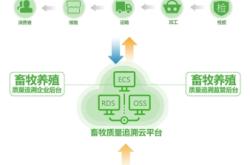 赤峰市牛羊产业平台电话号码