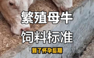 赤峰市母牛饲料厂电话号码