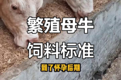 赤峰市母牛饲料厂电话号码