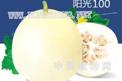 赤峰甜瓜代卖网电话号码查询