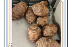 赤峰芋泥奶砖厂家电话号码
