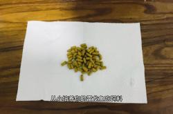 赤峰雷龙鱼饲料专卖店电话号码