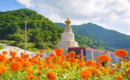 赤峰康宁寺藏药店电话号码查询