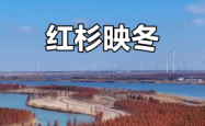 赤峰红杉树补课班地址电话号码