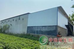 赤峰花生加工厂电话多少号